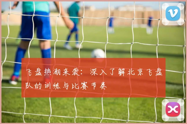 飞盘热潮来袭：深入了解北京飞盘队的训练与比赛节奏