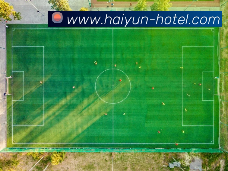 战术演练